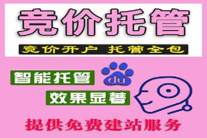 百度推广代理：从零到一的营销增长之路